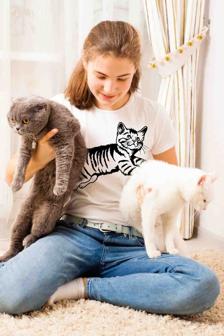 Koszulka kotek tygrys 