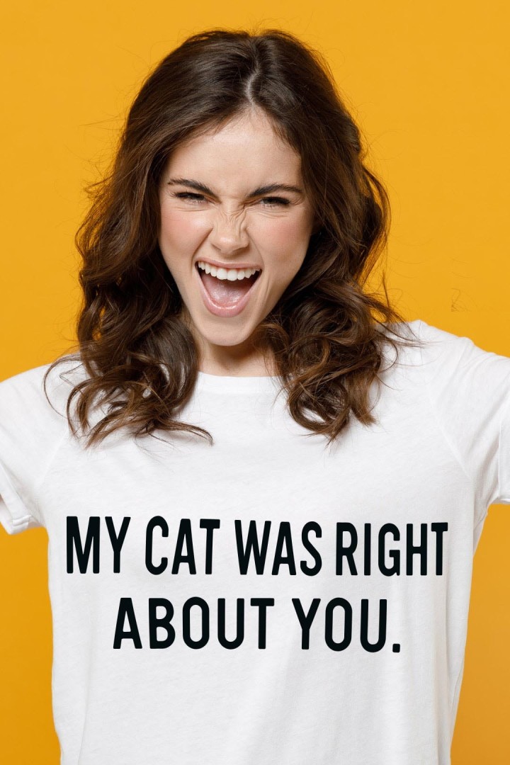 Koszulka Koty zawsze mają rację